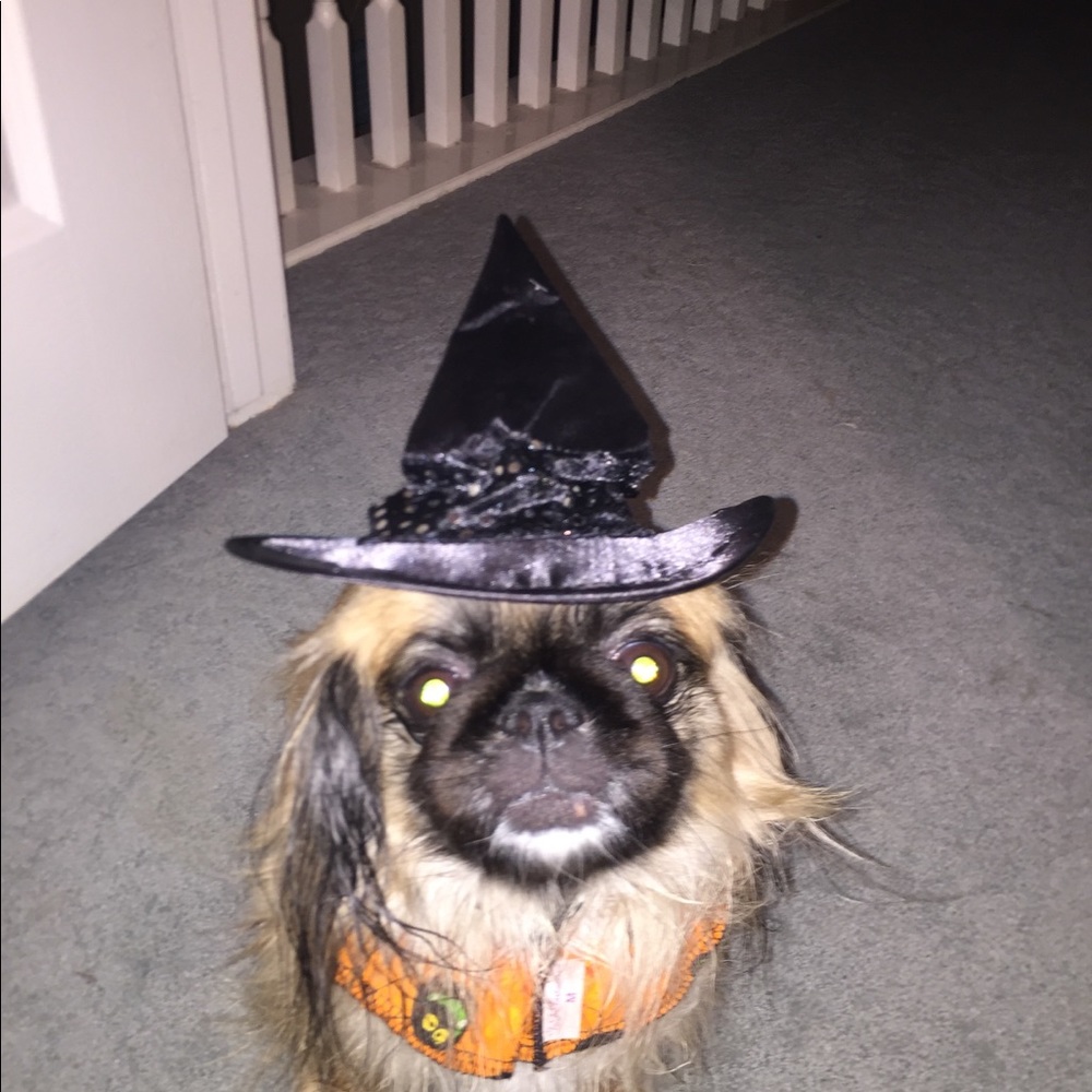 Don’t mean to be a Witch...